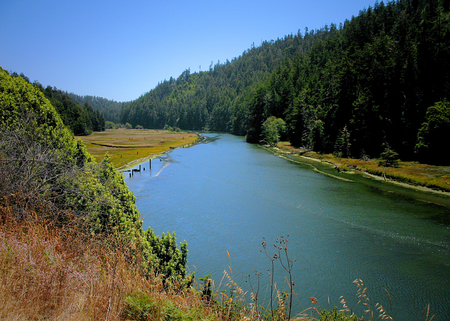 Big River Estuary by Whitney Flanagan from Conservation Fund