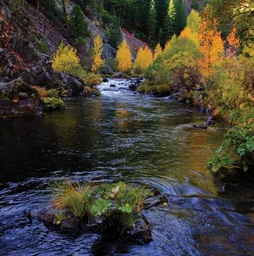 CVSHP_photo_1