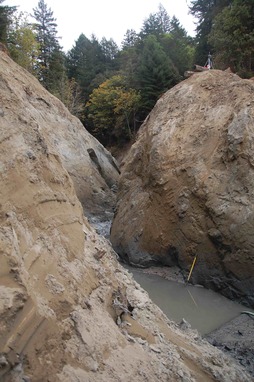 CalTrout_Bridge_Mouth_4