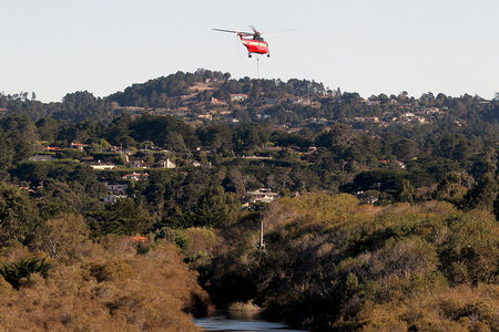 Carmel River Lagoon woody debri