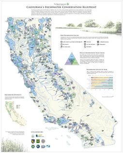 Salmon at TNC – State of Salmon