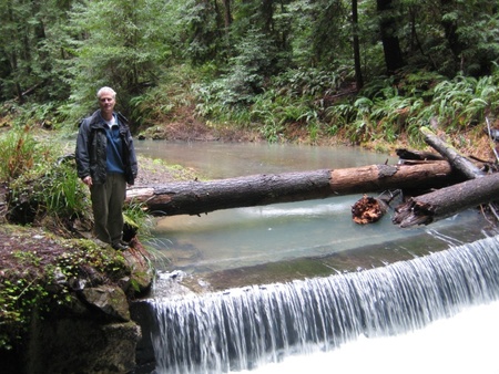 Little North Fork after Sill Removal before