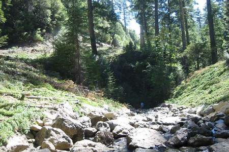 Nature Conserv Pres_Page_26_Image_0014