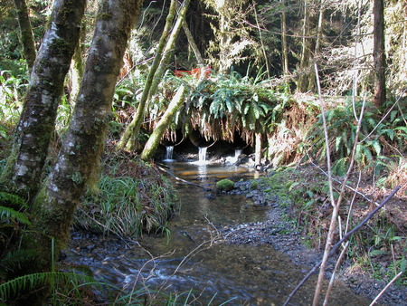 RNSP Streelow Crk Channel Restoration 2