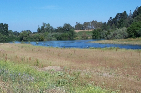 Rarzlaff post construction revegetation photo by USFWS