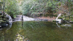 SanMateoRCD_After-Passage_Removal_Pescadero_Cnty_Park