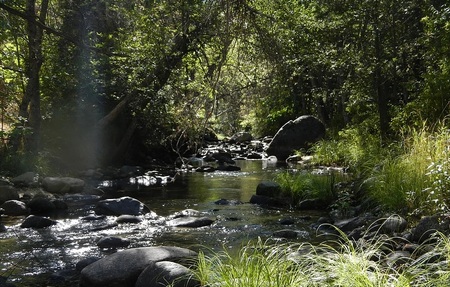 ScottRiverWT-river-photo