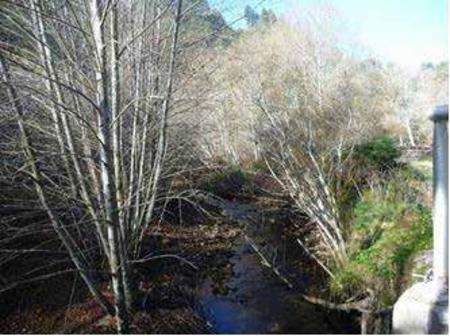 Scotts Creek_Pre
