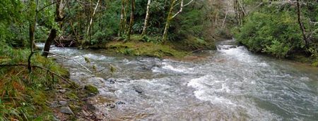 Usal Creek after shot