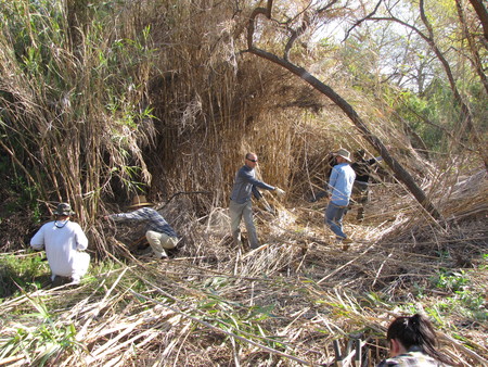 Ventura River restoration -- Derek Poultney