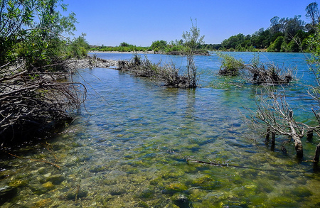 Yuba river Hamman Bar