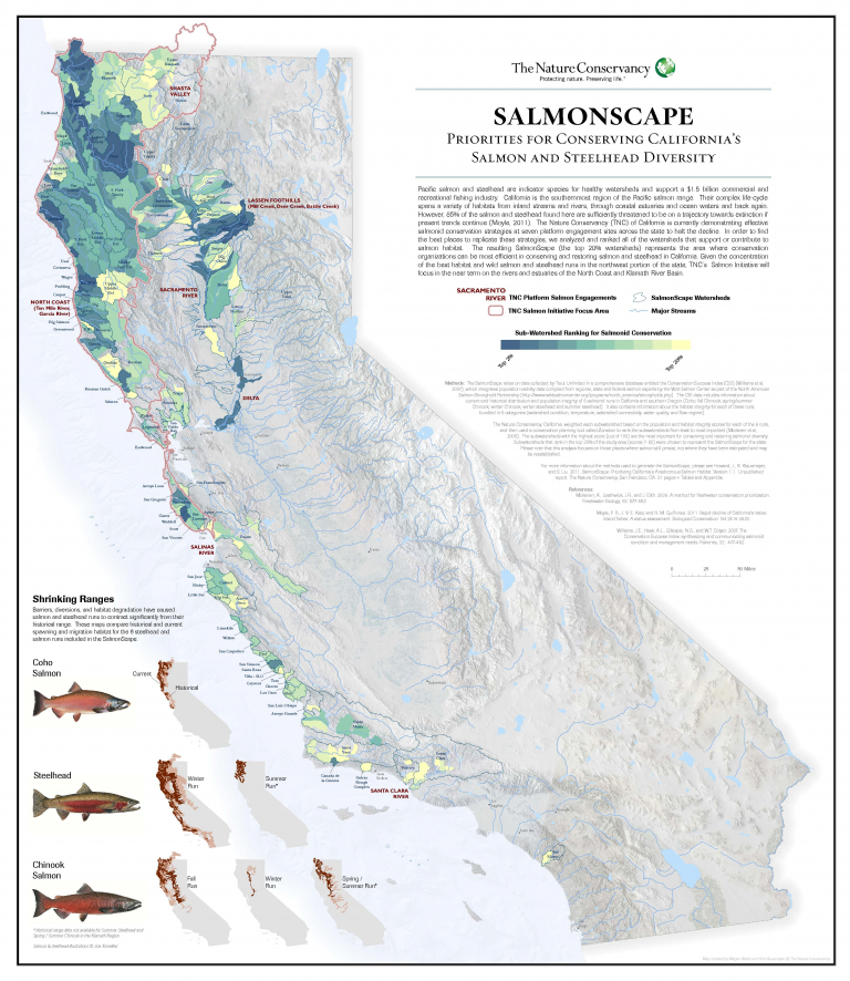 Salmon at TNC State of Salmon