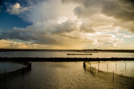 Sacramento Valley Salmon Recovery Program