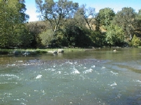 mokgravl photo by USFWS