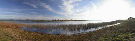 sra-new-612-estuary_2_lg