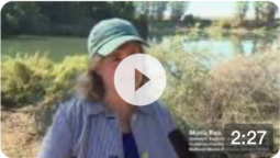 Knaggs Ranch, in the Sacramento River's Yolo Bypass