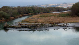 Ropers Slough on the Eel River